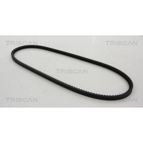 Fahrwerksfeder 8750 1491 von TRISCAN günstig für 105,46 € online kaufen