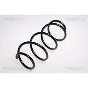 Fahrwerksfeder für NISSAN von TRISCAN