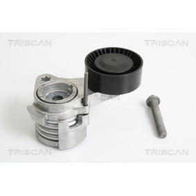 Fahrwerksfeder 8750 29020 von TRISCAN günstig für 45,26 € online kaufen