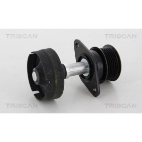 Fahrwerksfeder 8750 29166 von TRISCAN günstig für 44,92 € online kaufen