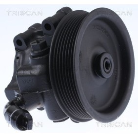 Fahrwerksfeder 8750 4013 von TRISCAN günstig für 47,06 € online kaufen