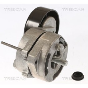 Fahrwerksfeder 8750 4304 von TRISCAN günstig für 53,48 € online kaufen