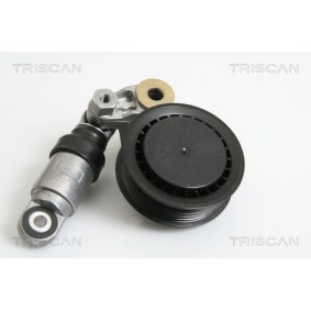 Fahrwerksfeder 8750 4310 von TRISCAN günstig für 58,47 € online kaufen