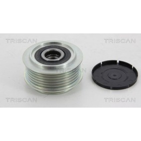 Fahrwerksfeder 8750 4324 von TRISCAN günstig für 62,25 € online kaufen