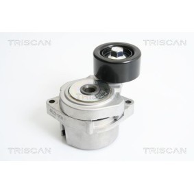 Fahrwerksfeder 8750 4339 von TRISCAN günstig für 80,25 € online kaufen