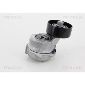 Fahrwerksfeder 8750 4361 von TRISCAN günstig für 62,29 € online kaufen