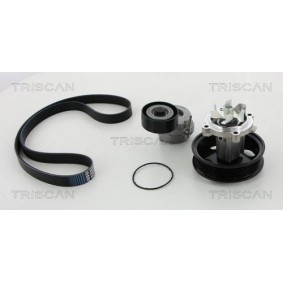 Fahrwerksfeder 8750 6507 von TRISCAN günstig für 71,40 € online kaufen