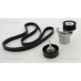 Fahrwerksfeder 8750 6521 von TRISCAN günstig für 68,64 € online kaufen