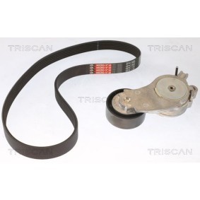 Fahrwerksfeder 8750 6531 von TRISCAN günstig für 68,02 € online kaufen