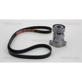 Fahrwerksfeder 8750 6804 von TRISCAN günstig für 51,36 € online kaufen