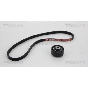 Fahrwerksfeder 8750 6814 von TRISCAN günstig für 58,70 € online kaufen