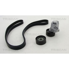 Fahrwerksfeder 8750 6815 von TRISCAN günstig für 46,10 € online kaufen