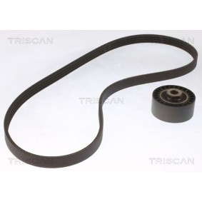 Fahrwerksfeder 8750 6819 von TRISCAN günstig für 60,38 € online kaufen