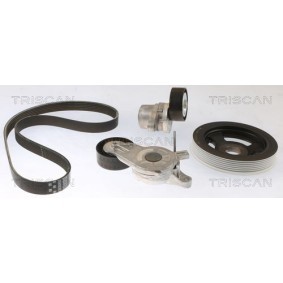 Fahrwerksfeder 8750 6907 von TRISCAN günstig für 47,30 € online kaufen
