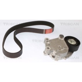 Fahrwerksfeder 8750 6911 von TRISCAN günstig für 40,85 € online kaufen