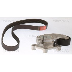 Fahrwerksfeder 8750 6913 von TRISCAN günstig für 51,55 € online kaufen