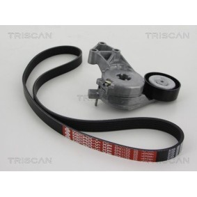 Fahrwerksfeder 8750 6922 von TRISCAN günstig für 53,30 € online kaufen