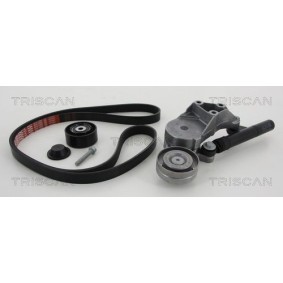 Fahrwerksfeder 8750 6928 von TRISCAN günstig für 34,77 € online kaufen