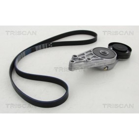 Fahrwerksfeder 8750 6937 von TRISCAN günstig für 50,58 € online kaufen