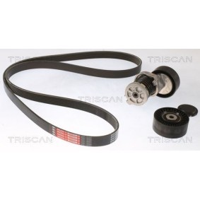 Fahrwerksfeder 8750 6956 von TRISCAN günstig für 78,72 € online kaufen