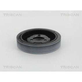 Fahrwerksatz, Federn 8755 11005 von TRISCAN günstig für 196,04 € online kaufen