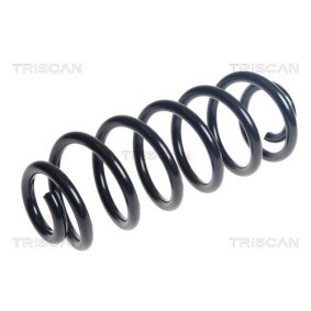 Fahrwerksatz, Federn 8755 13016 von TRISCAN günstig für 173,80 € online kaufen
