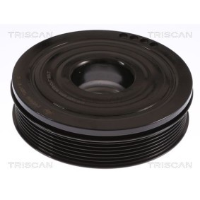 Fahrwerksatz, Federn 8755 15020 von TRISCAN günstig für 145,61 € online kaufen