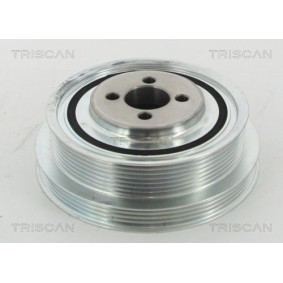 Fahrwerksatz, Federn 8755 24017 von TRISCAN günstig für 144,24 € online kaufen