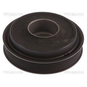 Fahrwerksatz, Federn 8755 27008 von TRISCAN günstig für 257,16 € online kaufen