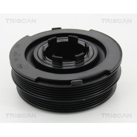 Fahrwerksatz, Federn 8755 27009 von TRISCAN günstig für 166,78 € online kaufen