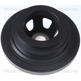 Fahrwerksatz, Federn 8755 28016 von TRISCAN günstig für 188,56 € online kaufen