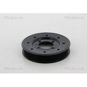 Fahrwerksatz, Federn 8755 29001 von TRISCAN günstig für 123,15 € online kaufen