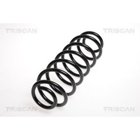 Osta Alustasarja, jouset TRISCAN:llä 8755 38005 edullisesti hintaan 257,32 €