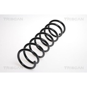 Fahrwerksatz, Federn 8755 40003 von TRISCAN günstig für 165,87 € online kaufen