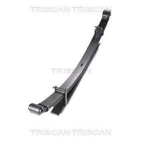 Federpaket 8765 13022 von TRISCAN günstig für 243,48 € online kaufen
