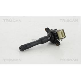 Köp Tändspole av TRISCAN 8860 11008 till det låga priset 430,17 kr