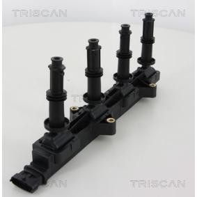 Acquista Bobina d'accensione da TRISCAN 8860 24016 a buon mercato per soli 191,07 €