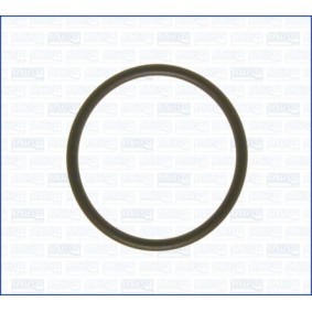 Acquista Guarnizione, Collettore aspirazione da AJUSA 16029000 a buon mercato per soli 1,56 €