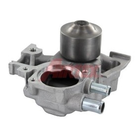 Acquista Pompa acqua da AIRTEX 9255 a buon mercato per soli 97,71 €
