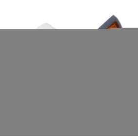 Achetez des Clignotant de chez DT Spare Parts en ligne pour Mascott Camion basculant à prix modérés