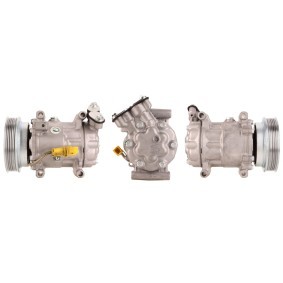 Klimakompressor 51-0226 von ELSTOCK günstig für 270,03 € online kaufen