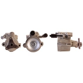 Servopumpe 15-0239 von ELSTOCK günstig für 173,20 € online kaufen