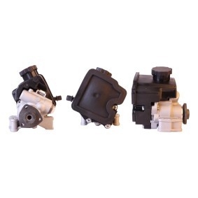 Servopumpe 15-0161 von ELSTOCK günstig für 205,93 € online kaufen