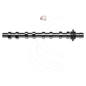 Nockenwelle CP11111 von CAMPRO günstig für 292,11 € online kaufen