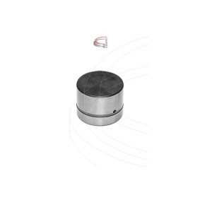 Achetez des Poussoir hydraulique CAMPRO CP41920 à prix pour 30,60 €