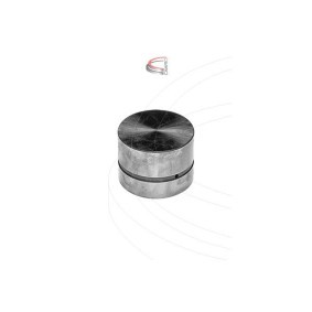 Comprar Empujador de válvula de CAMPRO CP47001 a bajo precio de 38,35 €