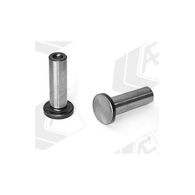Comprar Empujador de válvula de AE FOL85 a bajo precio de 8,88 €