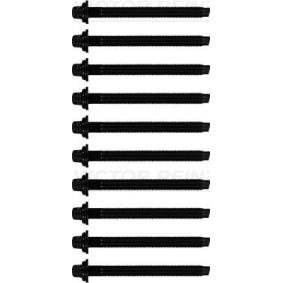Compre Tornillos de culata de REINZ online para Partner I Caja / Chasis (5, G) a precios moderados