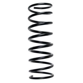 Compre Molas de SPIDAN online para CHEVETTE Hatchback a preços moderados