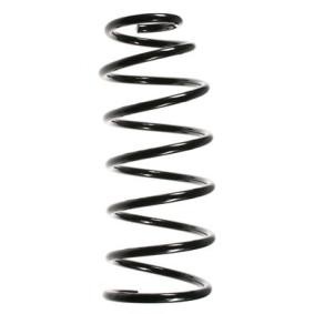 Achetez des Ressort de suspension SPIDAN 48631 à prix pour 50,98 €
